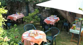B&B Chorisia - Image 5