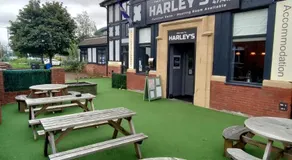 Harleys - Image 3
