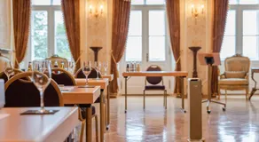 Robenstein Hotel & SPA - Villa - Image 3