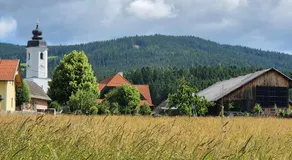 Bio-Bauernhof Wilfling - Image 2