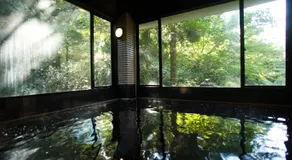 Motoyu Ishiya - Image 3
