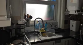 Sunflower Shared Apartment - Image 3