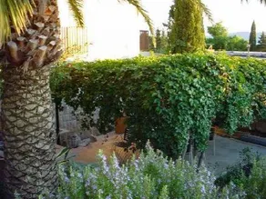 Apartmani Smiljana - Image 4