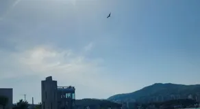 혀니네 - Image 2