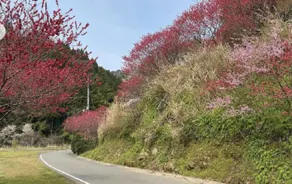 ゲストハウスMizu no Oto - Image 4