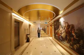 Vienna Hotel (Xingtai Shahe Airport) - Image 2