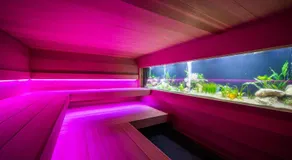 Thermen Londerzeel Hotel - Image 3
