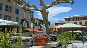 The Nut House - Image 2