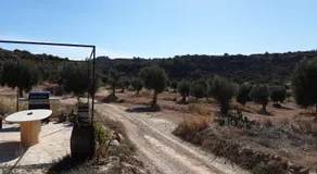 Campo Golden Heritage OFF GRID - Image 4