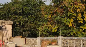 Hotel HillView, Junagadh - Image 5