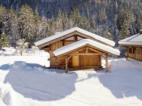 Résidence Agapes - Chalet Agapes - 8 Personnes - Montriond MAE-3961 - Image 1