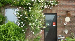 Guesthouse Kolibriehuys - Image 4