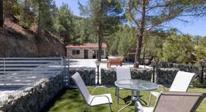 Palaiomylos Forest Residence - Image 5