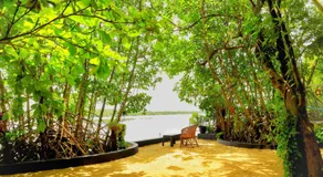 Lakefront Beach Homes - Image 5