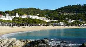 CAPDEVILA 9 - Image 4