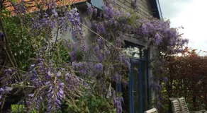 Vakantiewoning De Lotus - Image 5