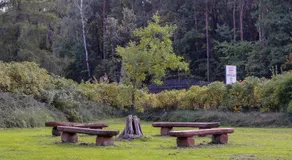 Pensjonat Cyrkon - strażnik młodszego Paleozoiku - Image 4