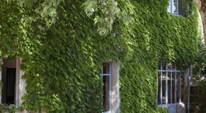 La Foutelaie - Image 4