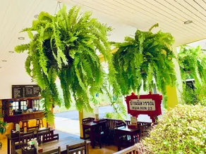 Baan Nilawan Hua Hin Hotel - Image 2