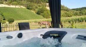 l'échappée belle en Champagne - Image 3
