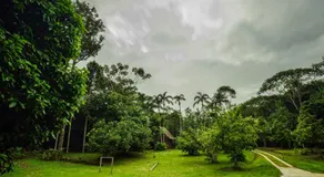Reserva Natural Tanimboca - Image 4