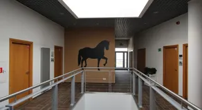 Hipodrom Sopot - Image 4