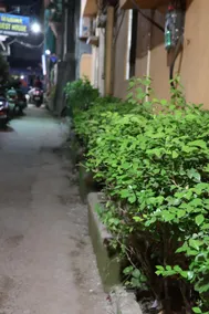 Raghunandan Residency - Image 4