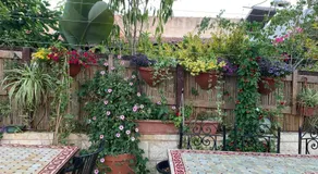Svarzman suite - Image 4