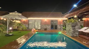 Melalueca tay ninh - Image 3