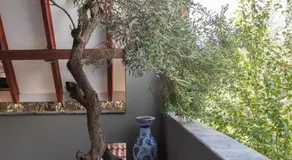Bella Blue Guesthouse - Image 4