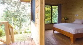 Forest Lodge - Image 2