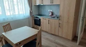 Penzion ČESKÁ FARMA - Image 3