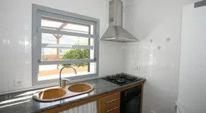Lola - Image 4