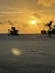 La Isla Tropica - Image 5