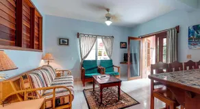 Saponaria 21-22 at Caribe Island Gold Standard Certified - Image 2