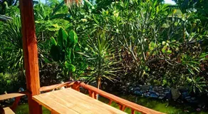 Umah Kayu 1-Menjangan homestay - Image 4
