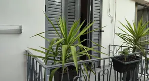 Urban Cocoon, Nice & Easy - Image 3
