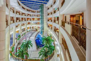 Palace Hotels (Chongqing Nanbin Road Holy Land Hot Spring Branch) 朗丽兹酒店（重庆南滨路圣地温泉店） - Image 3