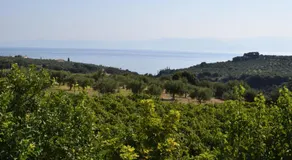 Villa Alexandros - Image 5