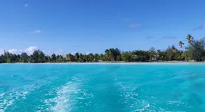 ALAROOTS HUAHINE - Image 5