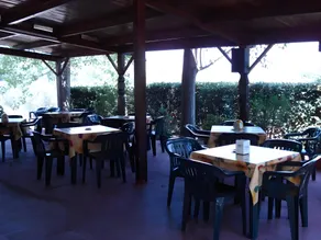 Citrigni - Image 4