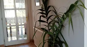 Kéktúrás-Tóra Nyíló Badacsonyi privát bérlemény - Image 3