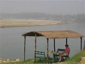 Jungle Wildlife Camp - Image 4