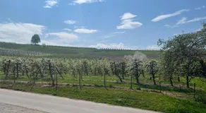 Ferienhof am Taubenberg - Image 3