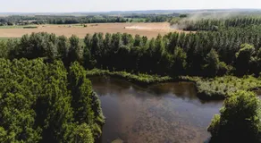 Richecourt - Parcel Tiny House - Tiny House 2 vue lac en Picardie MAE-3503 - Image 5