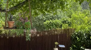 La Césarine - Image 5