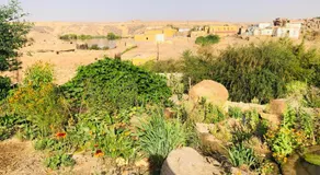 Bastet House & Haraka Baraka botanical Garden - Image 5