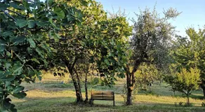 Agriturismo I Ciliegi Appartamento Ginestra - Image 4