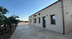 Sole di Sicilia - Image 3