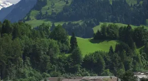 Hotel Landhaus Adler - Image 3